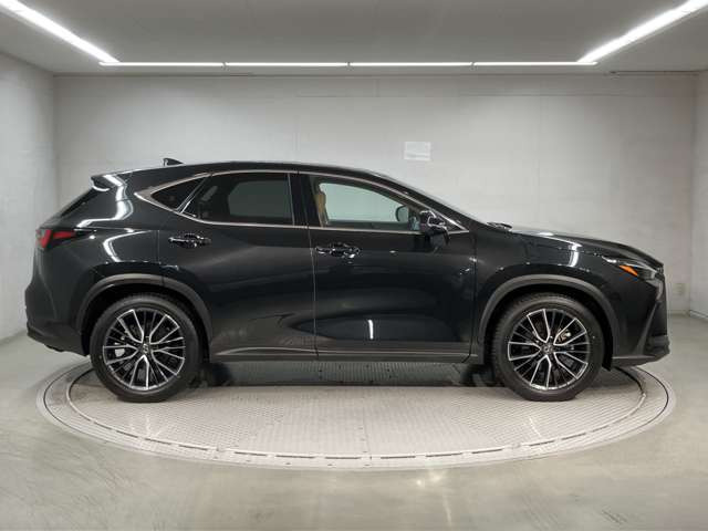 NX250 バージョンL