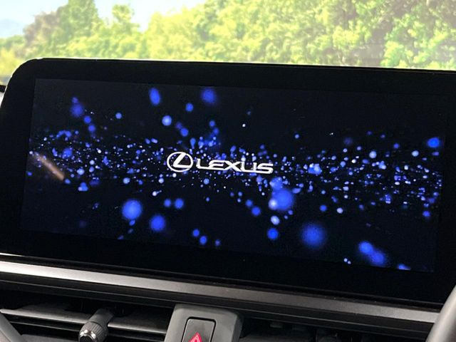 UX250h バージョンC