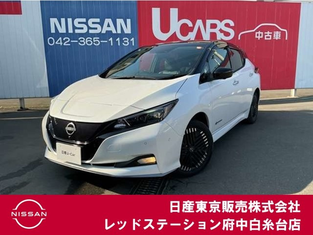 リーフe+ G