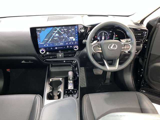 NX
