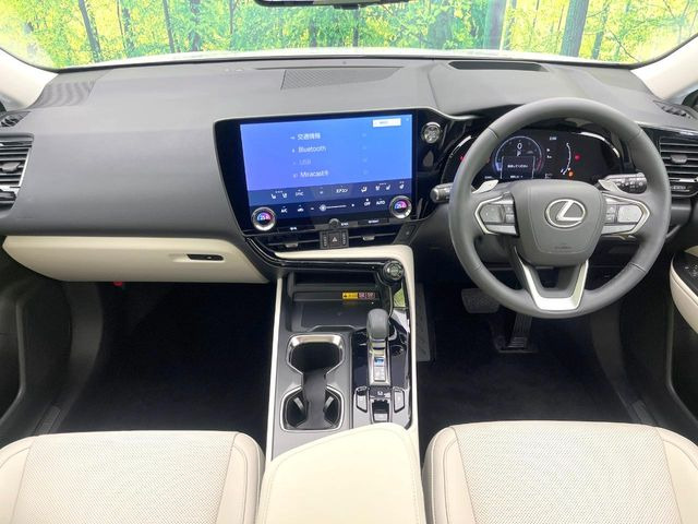 NX250 バージョンL