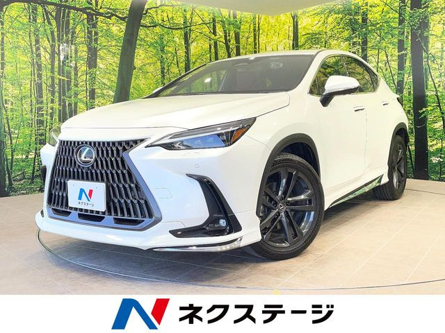 NX250 バージョンL