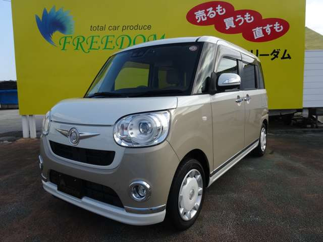 ムーヴキャンバスG メイクアップ SAIII