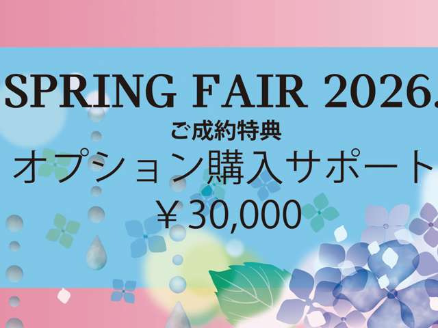 ミニカントリーマンE
