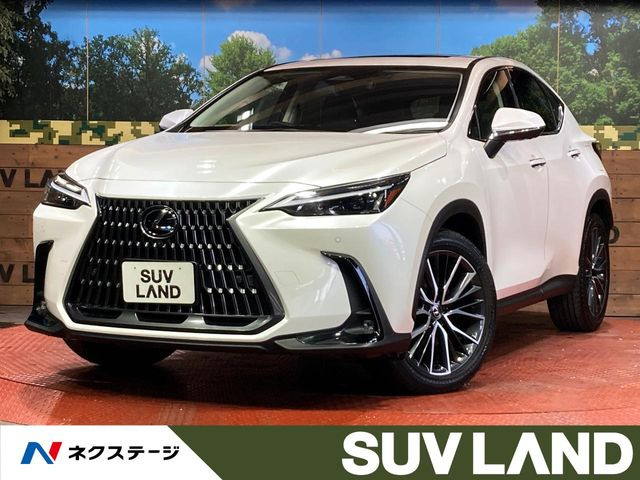 NX�i���N�T�X�j250 ���Îԉ摜