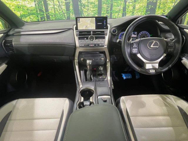NX300h Fスポーツ