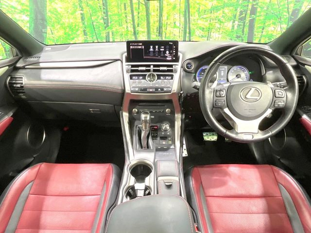 NX300h Fスポーツ