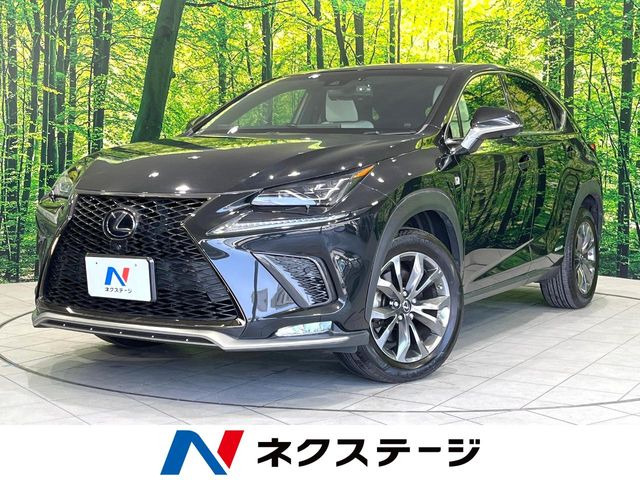 NX�i���N�T�X�j300h F�X�|�[�c ���Îԉ摜