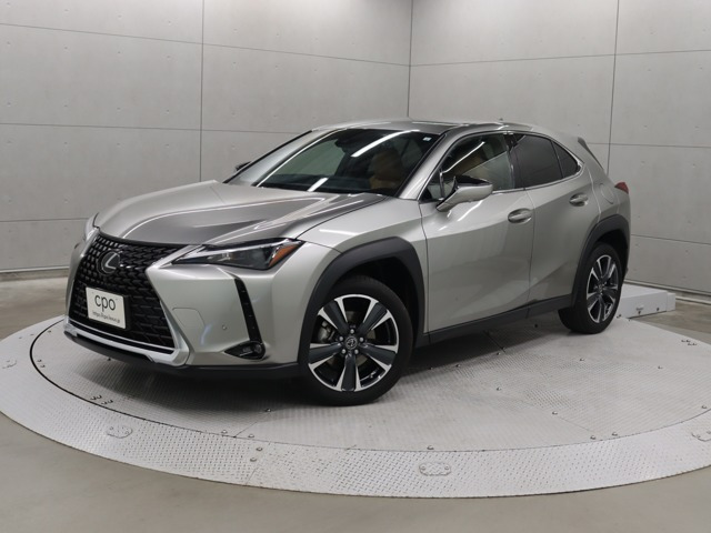 UX250h バージョンC