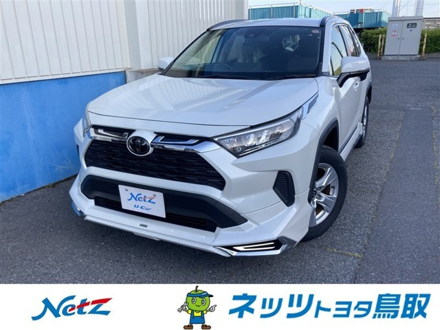 RAV42.0 X
