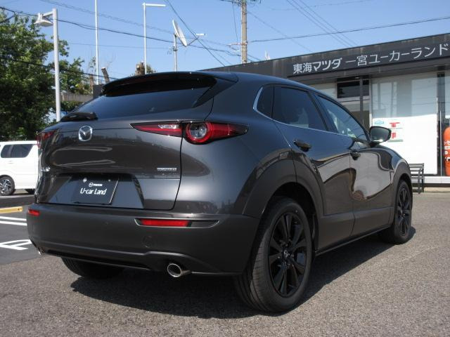 CX-301.8 XD ドライブ エディション