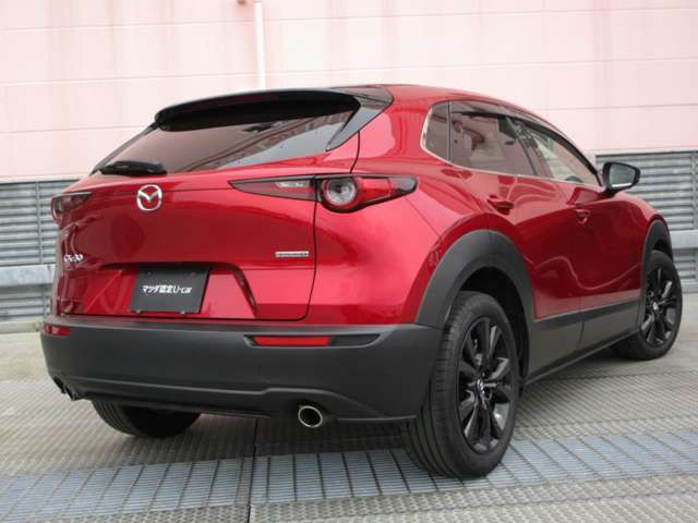 CX-301.8 XD レトロスポーツエディション 4WD