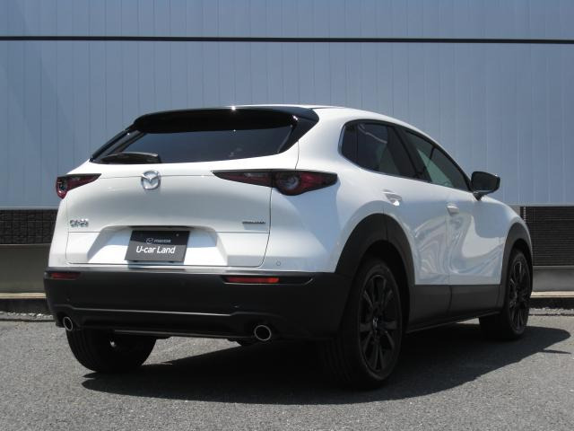 CX-301.8 XD ドライブ エディション