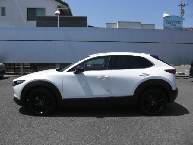 CX-301.8 XD ドライブ エディション