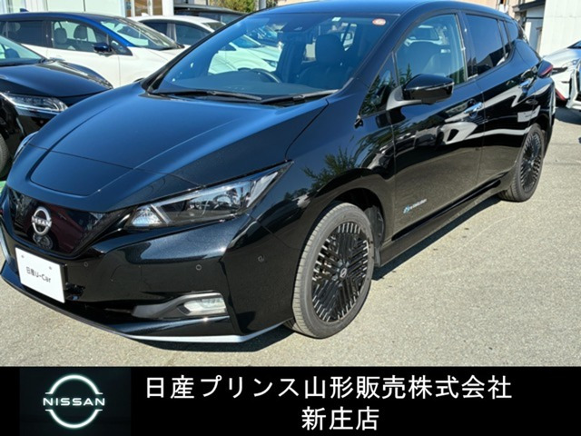 リーフe+ G
