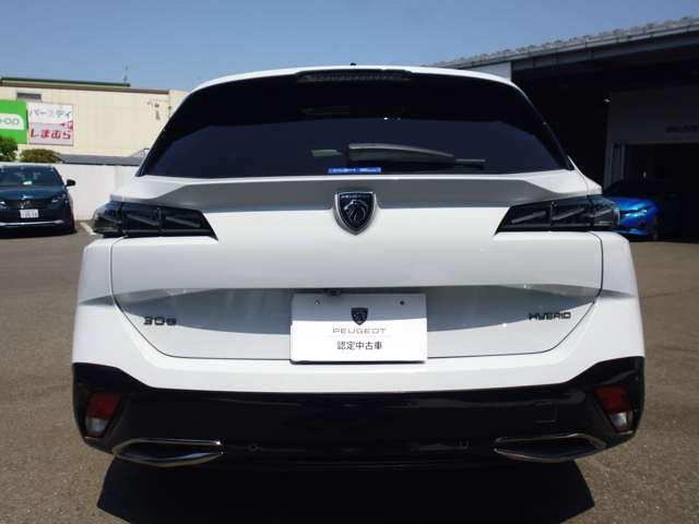 308SW