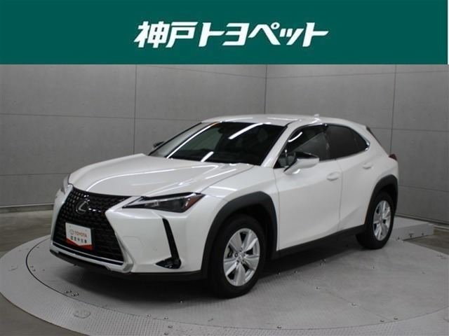 UX250h バージョンC