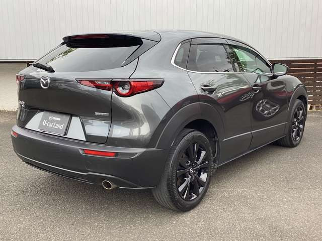 CX-30