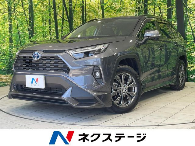 RAV42.5 ハイブリッド X