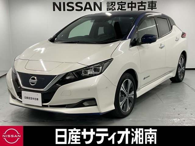 リーフe+ G