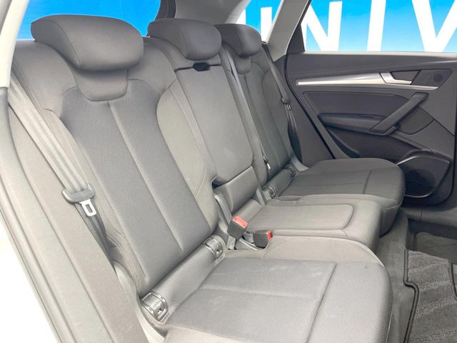 ���㕔���Ȃ��C�ɂȂ�悤�ȃL�Y�E�����ւ��蓙�A�傫�ȃ_���[�W�͂Ȃ��A�ǍD�ȏ�Ԃł��B