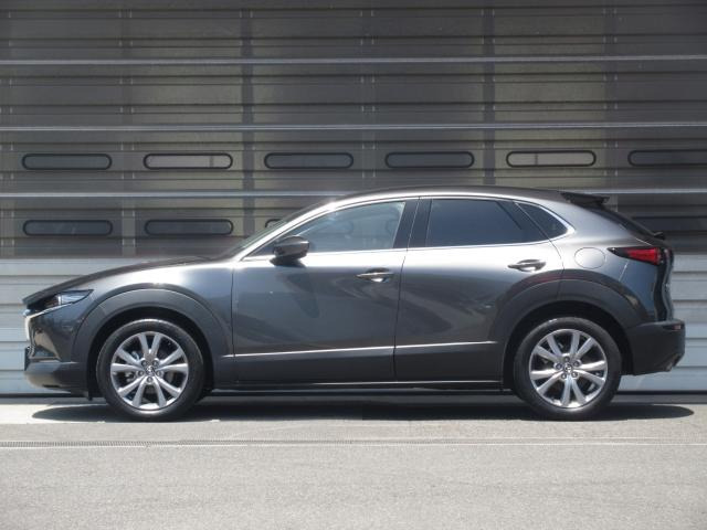 CX-301.8 XD Lパッケージ