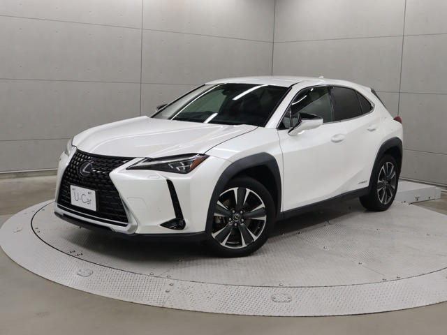 UX250h バージョンC