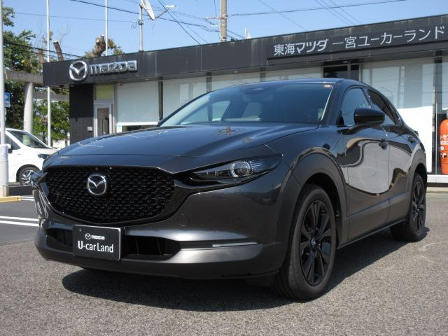 CX-301.8 XD ドライブ エディション
