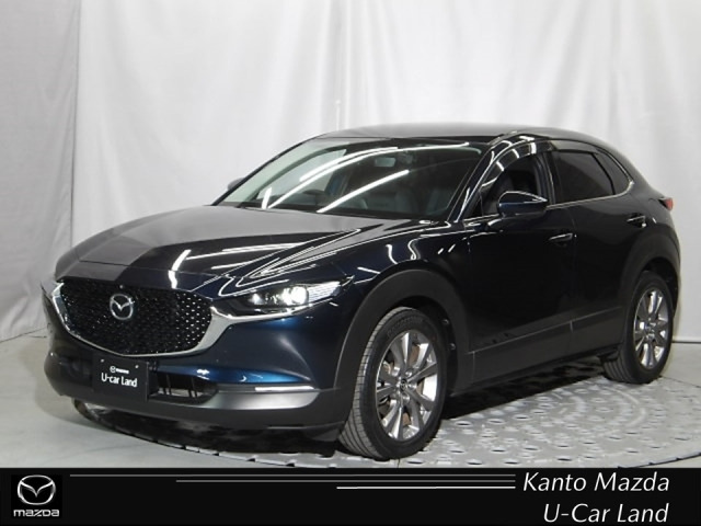 CX-302.0 20S プロアクティブ