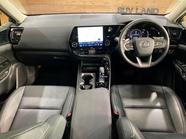 NX250