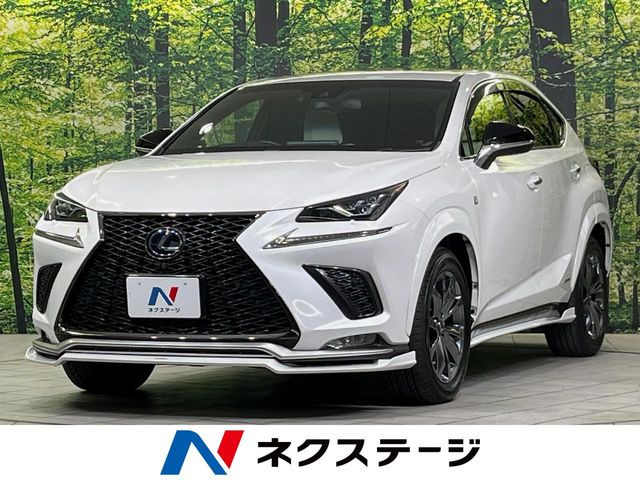 NX300h Fスポーツ