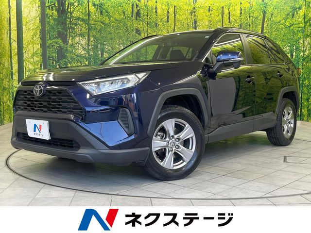 RAV42.0 X