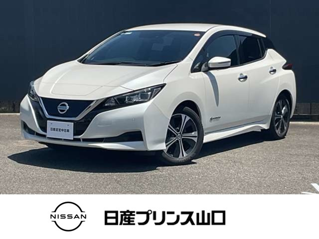 リーフX
