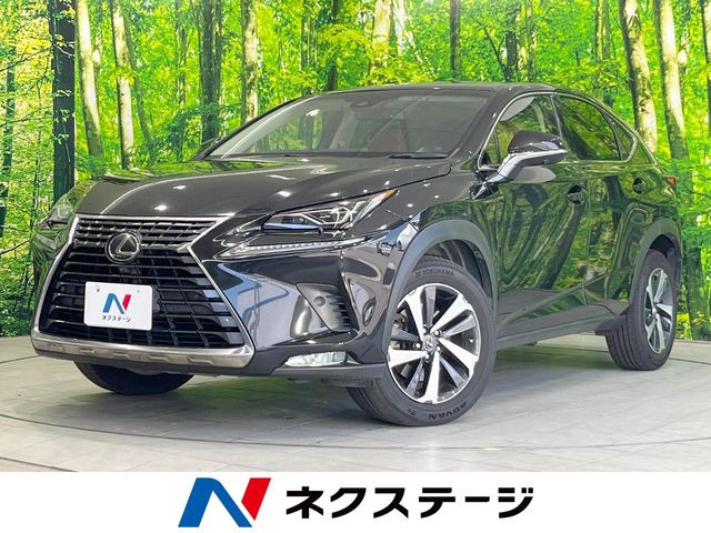 NX200t Iパッケージ