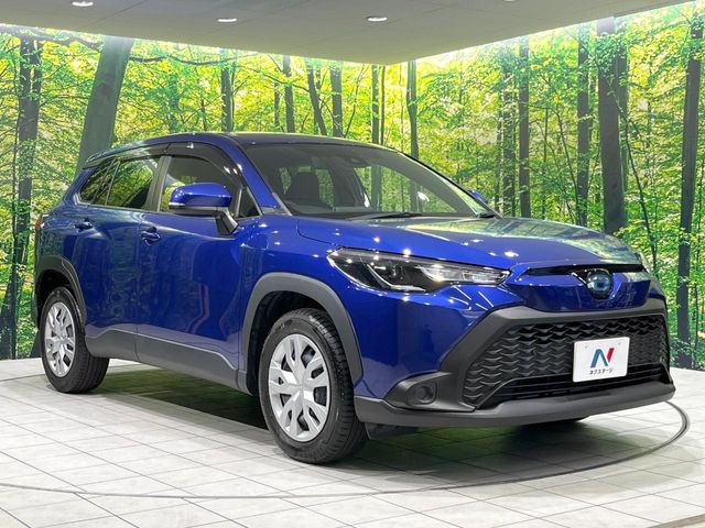 �������x�̃K���X�疌�ŝ����͂������A�㎿�ȃc���E����������B���O����_���J�����؂Ȉ��Ԃ�ی삵�A�F�����E�򉻂�h�~�B�u�e�X�v���b�V���R�[�g�v�A�u�e�v���~�b�T�R�[�g�v���炨�I�т��������܂��B