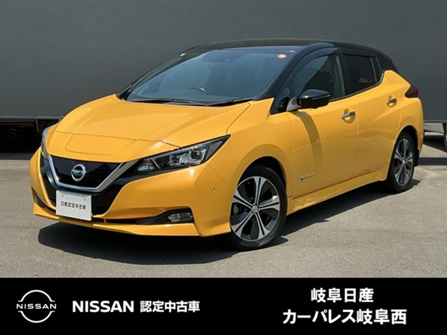 リーフG