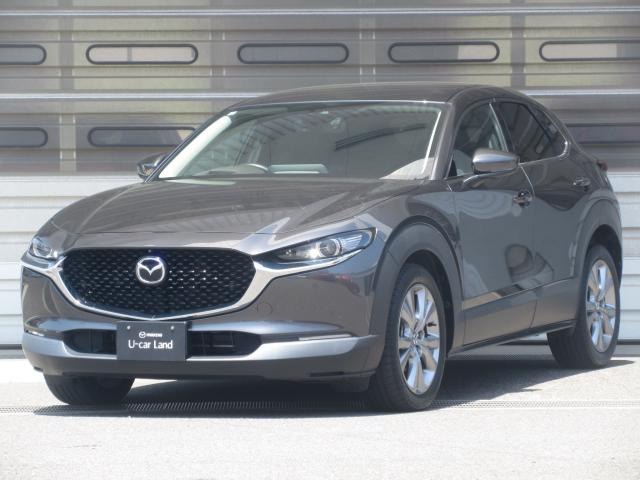CX-301.8 XD Lパッケージ