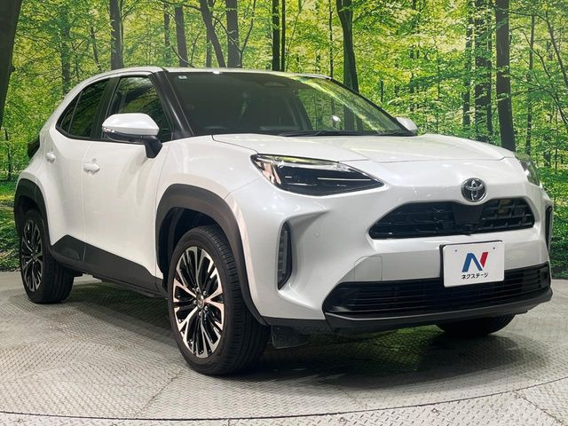 �������x�̃K���X�疌�ŝ����͂������A�㎿�ȃc���E����������B���O����_���J�����؂Ȉ��Ԃ�ی삵�A�F�����E�򉻂�h�~�B�u�e�X�v���b�V���R�[�g�v�A�u�e�v���~�b�T�R�[�g�v���炨�I�т��������܂��B
