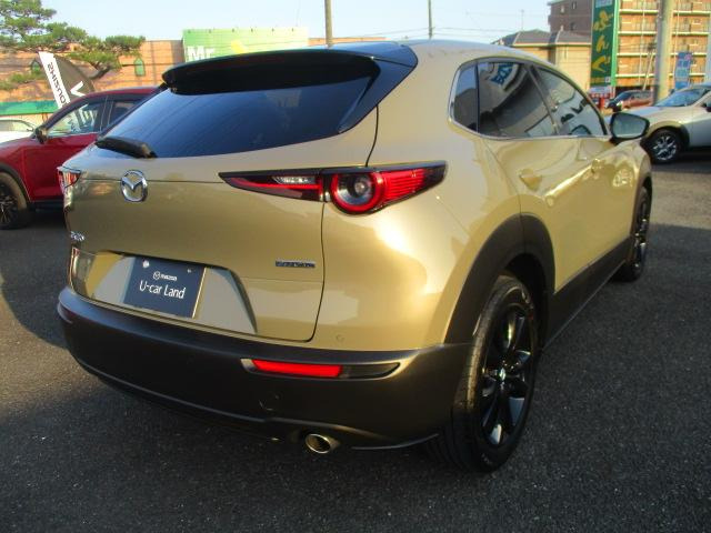 CX-302.0 20S レトロスポーツエディション