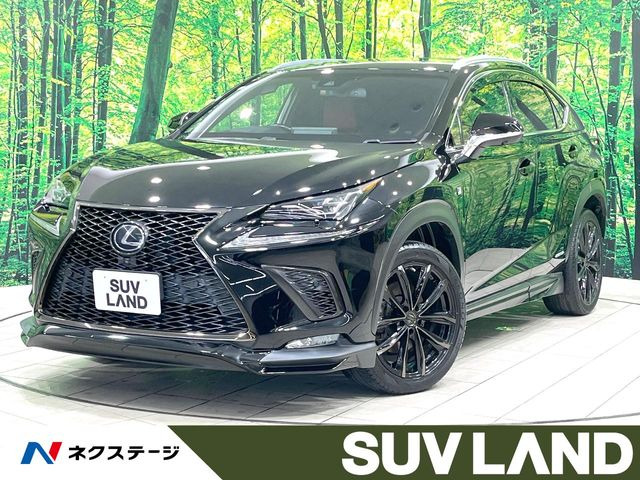 NX300h Fスポーツ