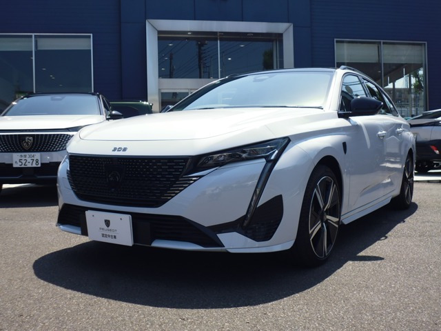 308SW