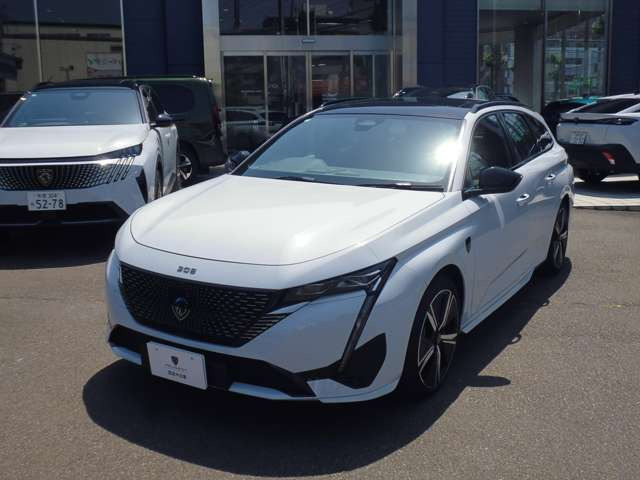 308SW