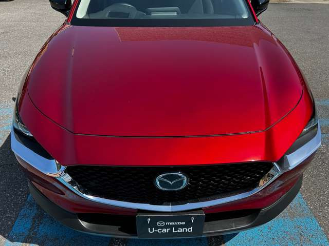 CX-302.0 20S