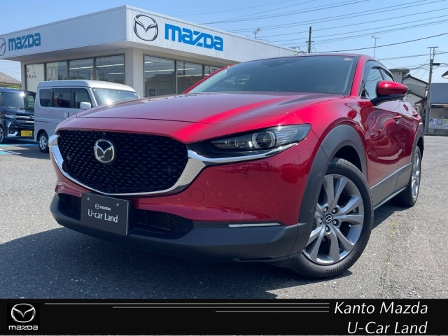 CX-302.0 20S プロアクティブ