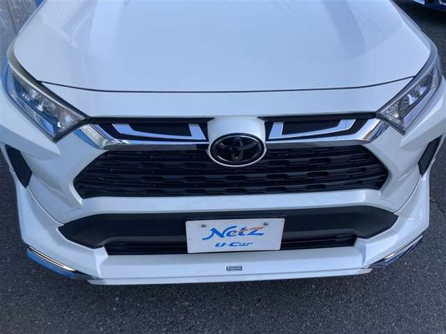 RAV42.0 X