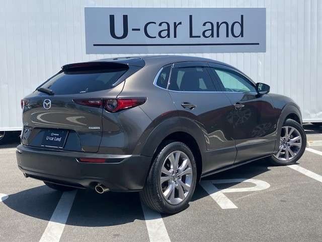 CX-302.0 20S プロアクティブ