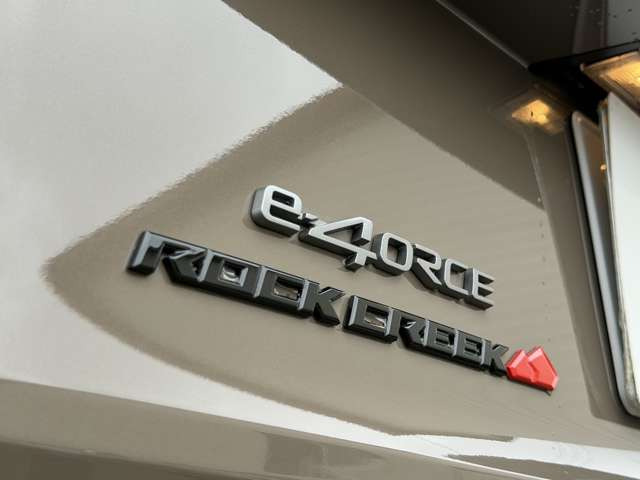エクストレイル1.5 ロック クリーク e-4ORCE 4WD
