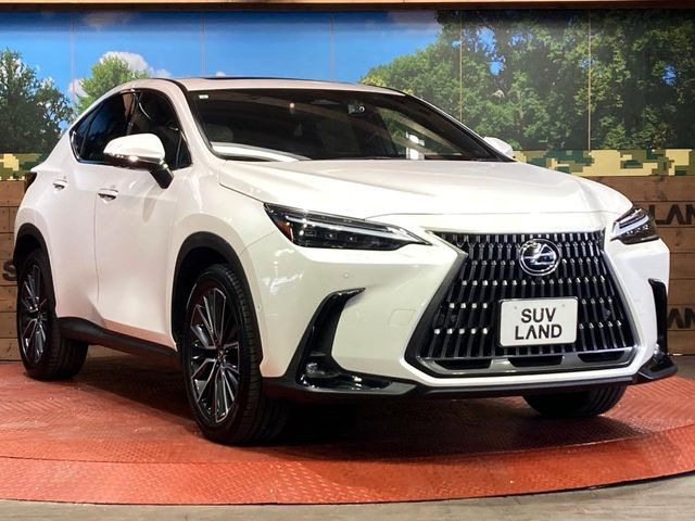 �������x�̃K���X�疌�ŝ����͂������A�㎿�ȃc���E����������B���O����_���J�����؂Ȉ��Ԃ�ی삵�A�F�����E�򉻂�h�~�B�u�e�X�v���b�V���R�[�g�v�A�u�e�v���~�b�T�R�[�g�v���炨�I�т��������܂��B