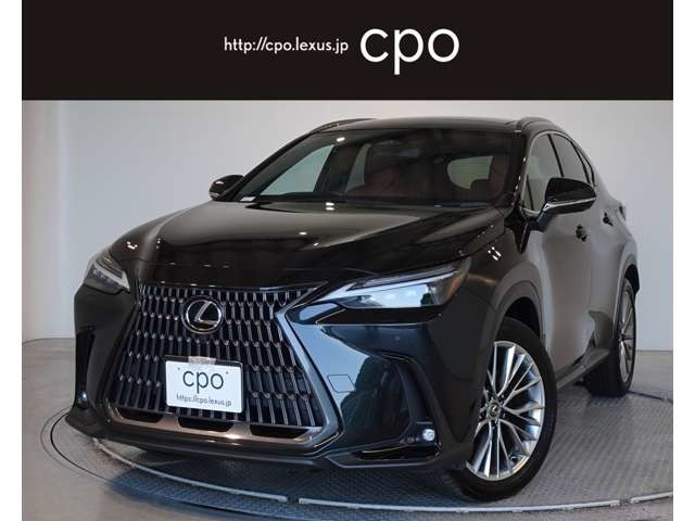 NX350h バージョンL