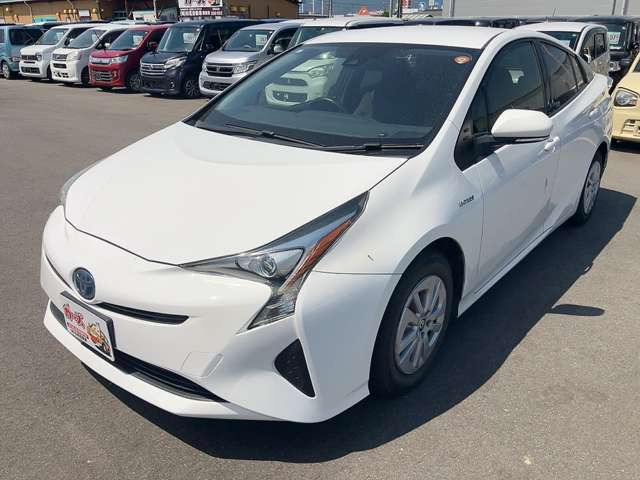 �y39.8���X�J�[�Y�̎��q���������������A���ɂ��肪�Ƃ��������܂��B���������q�s�Ö�368-1